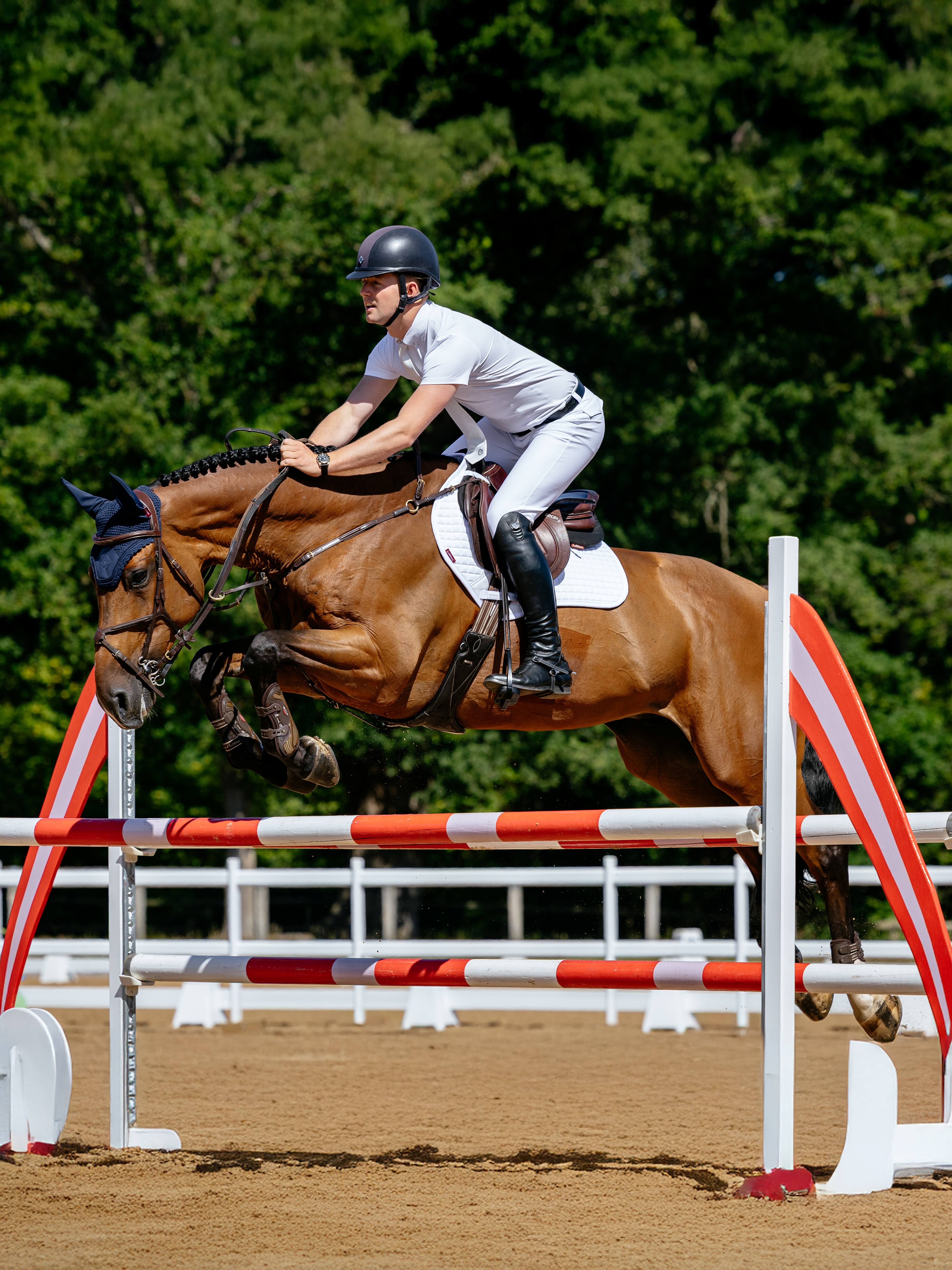 Baumwoll Close Contact zadeldek