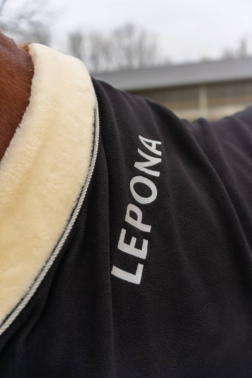 Lepona sweat rug in black