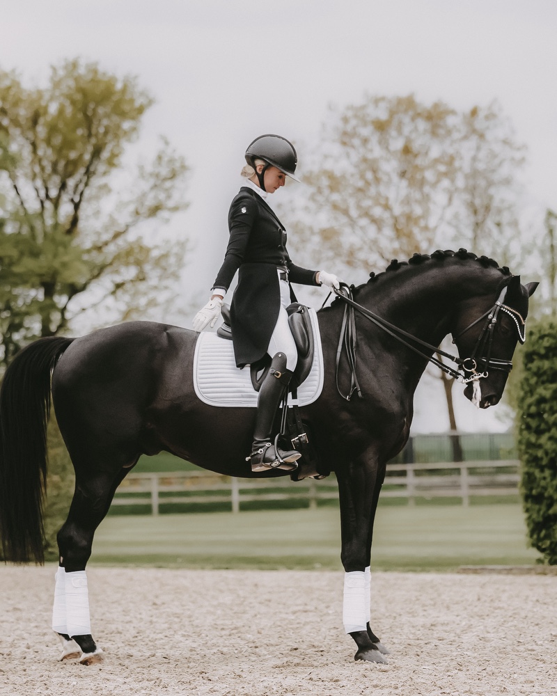 Dressage saddle pad Pearls