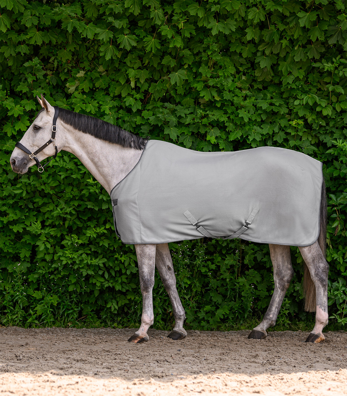 ECONOMIC Fleece rug w. cross surcingles, black