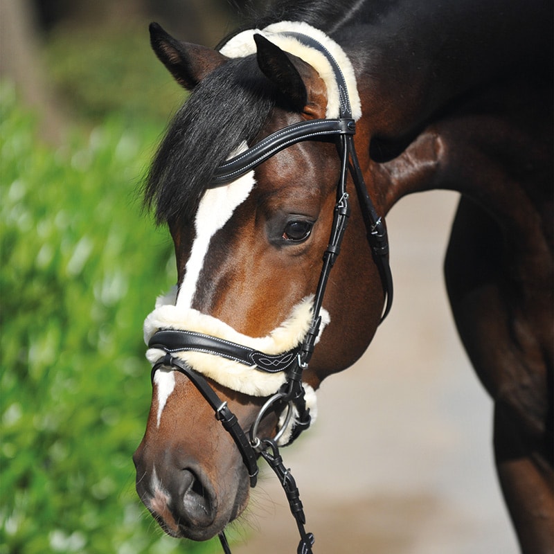 Snaffle "Ivy lambskin" close-comb.