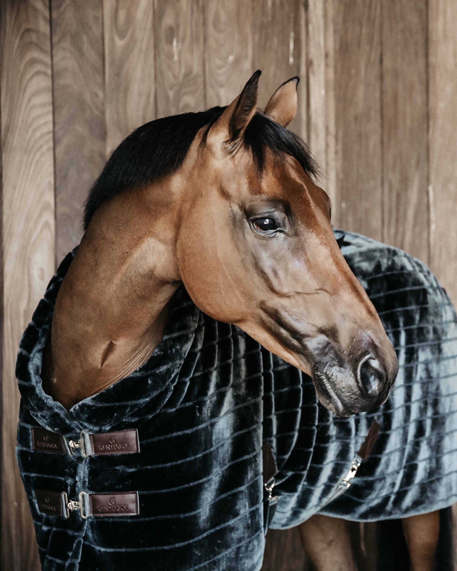 Stable rug fake fur