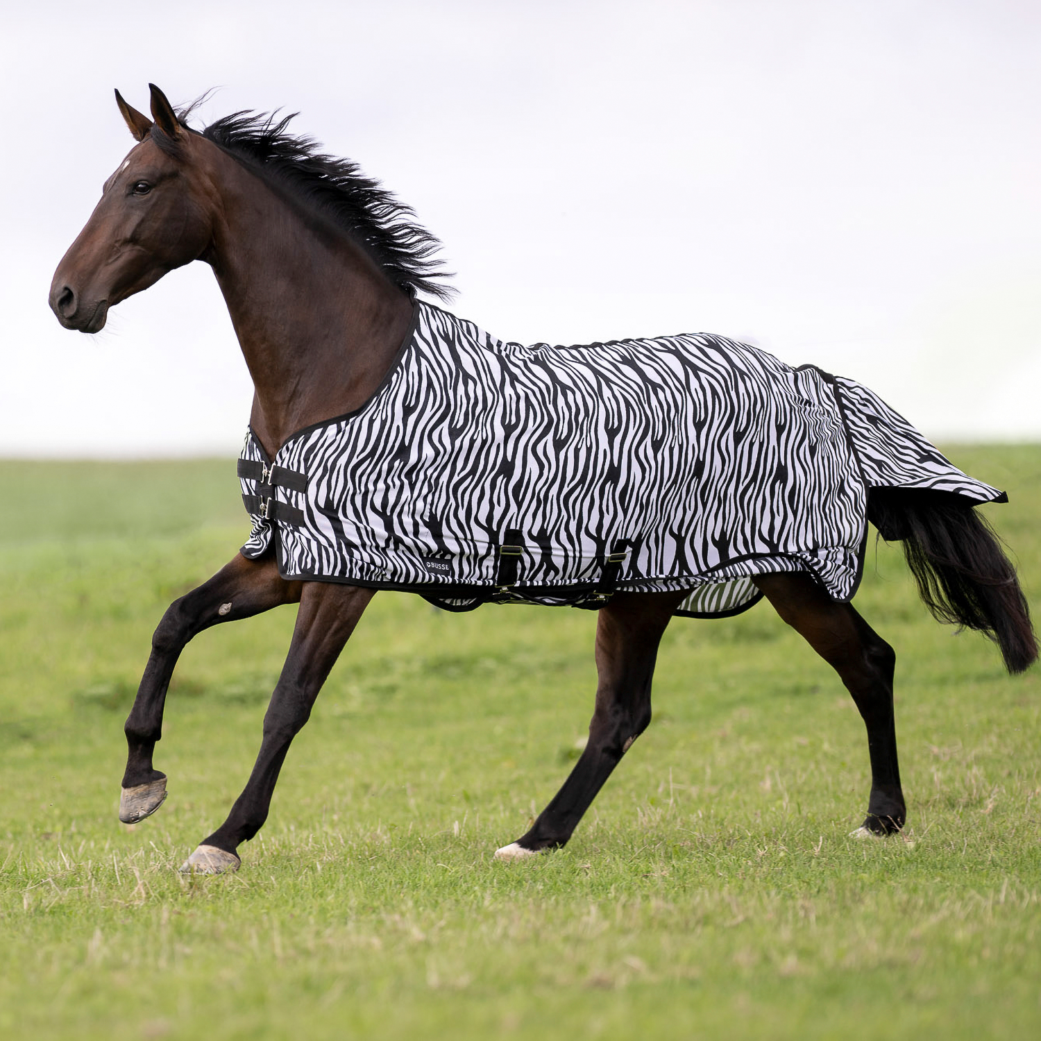 Outdoor-Fliegendecke Comfort Flexi Zebra